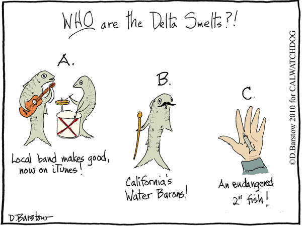 delta smelt