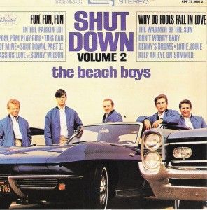 Shutdown beach boys