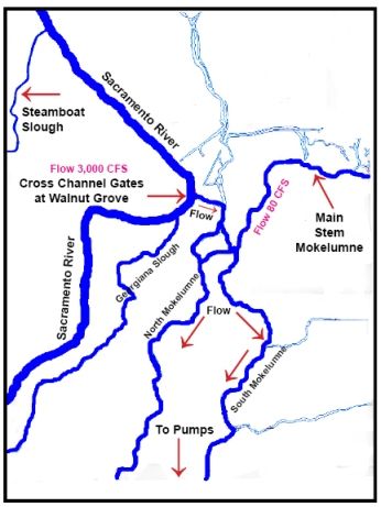 Cross-Channel-Gates-Area-w-Flow