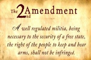 2nd amendment , us govt. picture