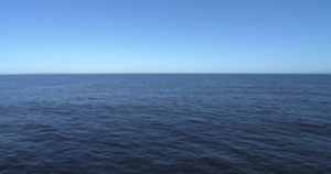 A view of the Great Pacific Garbage Patch (Photo Credit: NOAA)