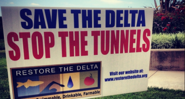 Investigating the CA Delta