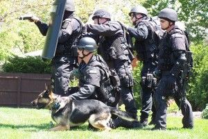 Swat team wikimedia