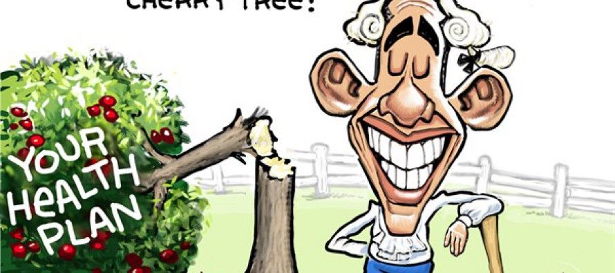 Obama’s cherry tree