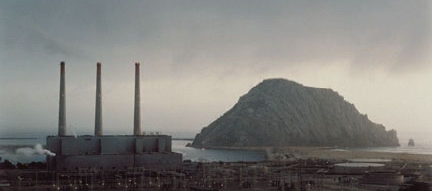 Morro Bay Power Plant shutdown saves fish, kills birds