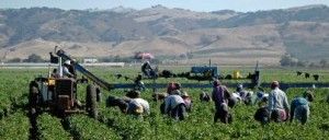 Migrant farm labor