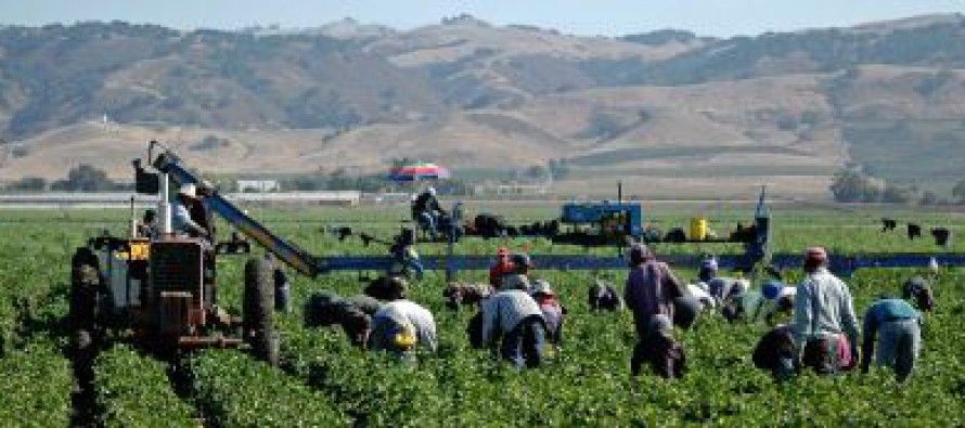CA farmers lead new immigration push