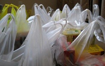 CA plastic bag ban would hurt environment