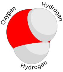 Water_molecule