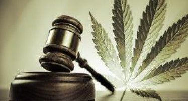 Officials eye statewide marijuana regs