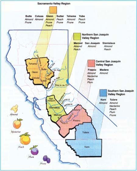 almond crops California, U.C. Davis