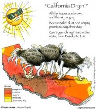 drought, Taylor Jones, Cagle, Aug 3, 2014