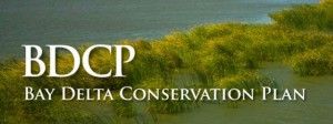 bay delta conservation