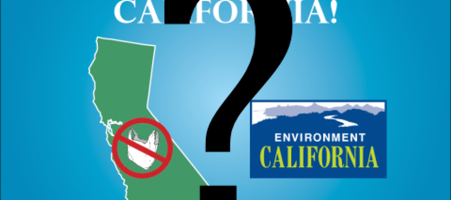 CA bag ban initiative heading toward 2016 vote