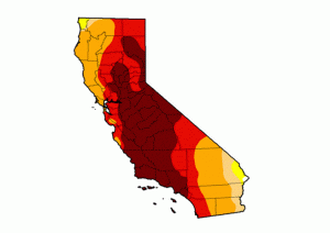 drought, march 15, 2015