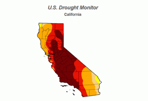 drought monitor, long, California, March 15,2015