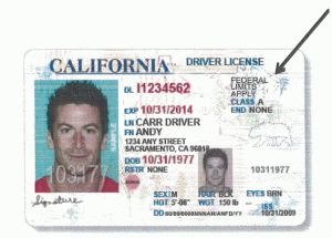 undocumented driver's license