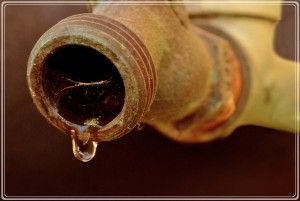 Water spigot