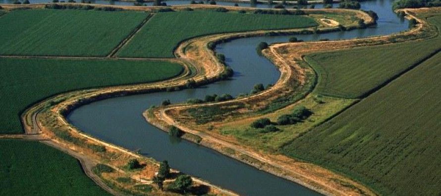 Who’s running the Delta Stewardship Council?