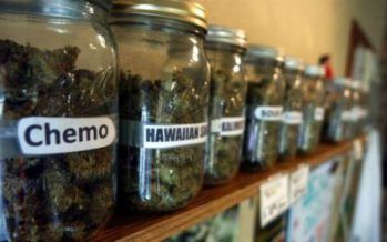 CA considers state pot bank