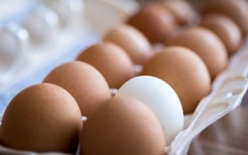 CA egg prices skyrocket