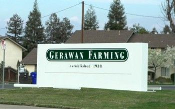 Officials silent on whistleblower’s allegations of “false statements” in union, farm dispute