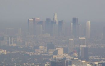 California leaders embrace fossil-fuel divestment