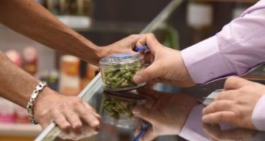 Cheap illegal cannabis sharply undercutting legal pot industry