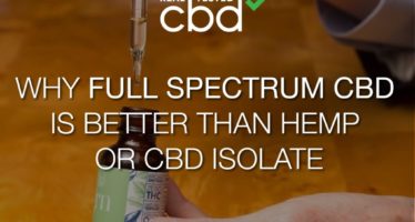 Why Is Full-Spectrum CBD Better Than Hemp CBD or CBD Isolate?