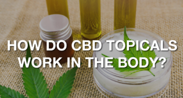 How Do CBD Topicals Work In Our Body?