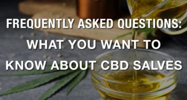 Frequently Asked Question About CBD Salves