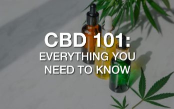 CBD 101 – Everything You Need to Know About CBD