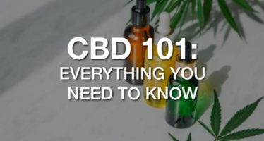 CBD 101 – Everything You Need to Know About CBD