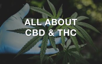 All About CBD & THC